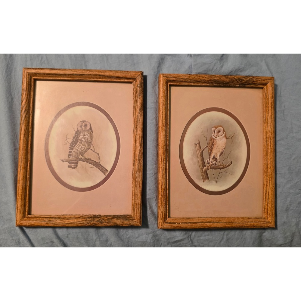 Vintage 1981 Bernard Picture Co Owl Prints Set of 2 Framed Wall Art Wood Grain